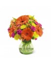 The FTD Because You're Special Bouquet